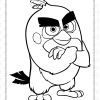 red angry bird coloring page