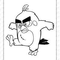 red bird is really angry coloring page