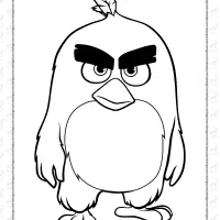 red from angry birds coloring pages for kids