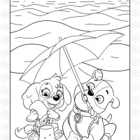 Summer Paw Patrol Rubble and Skye 12 summer paw patrol rubble and skye