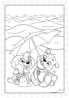Summer Paw Patrol Rubble and Skye