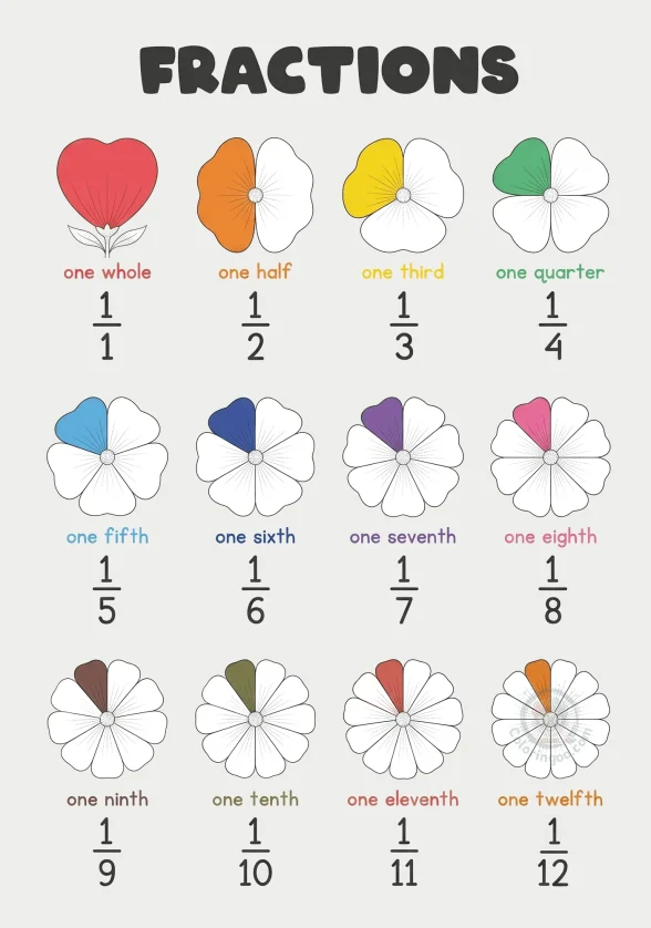 Printable Fractions Educational Poster