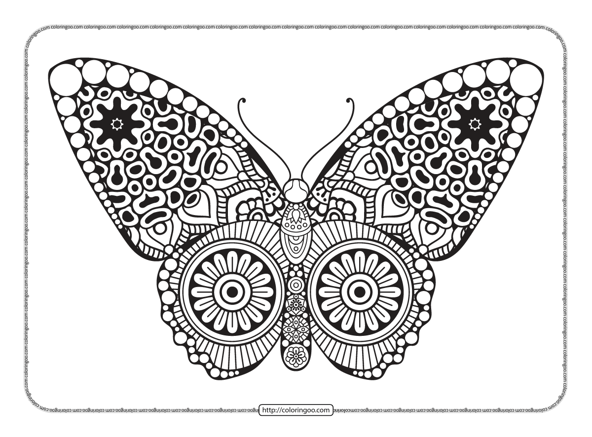 decorative butterfly mandala coloring page