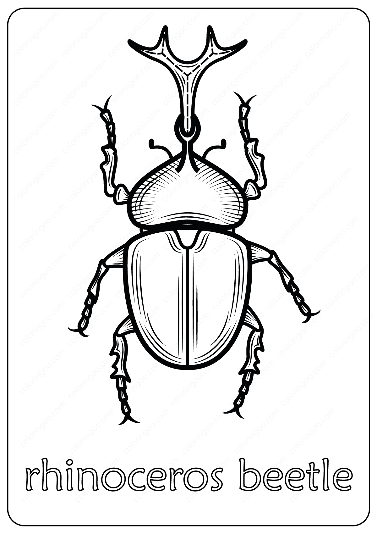 rhinoceros beetle coloring pages