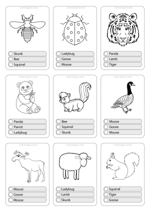 animals flashcard 02