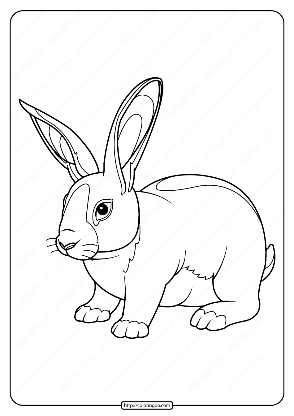 printable baby rabbit pdf coloring page