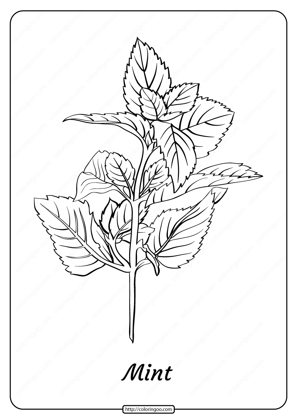 free printable mint outline pdf coloring page