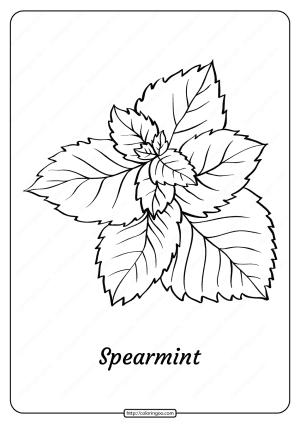 free printable spearmint outline pdf coloring page