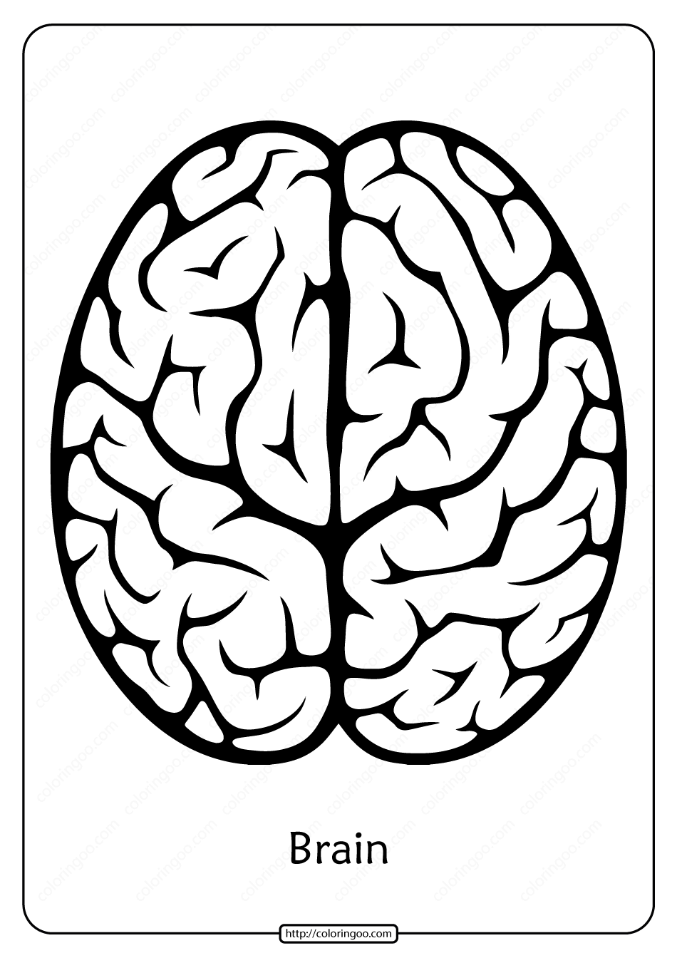 free printable brain outline pdf coloring pages