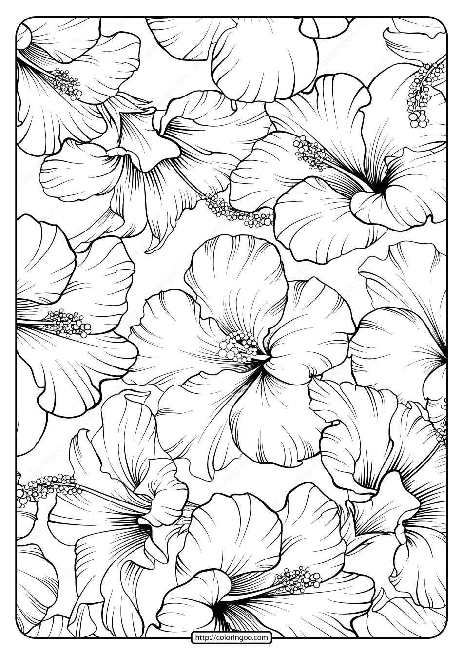 Free Printable Flower Pattern Coloring Page 21