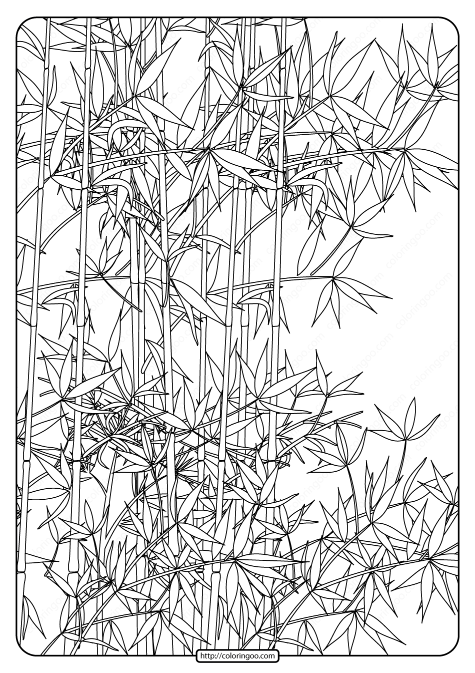 free printable bamboo garden pdf coloring page