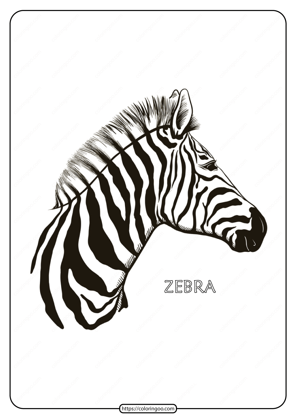 free printable zebra animals coloring pages
