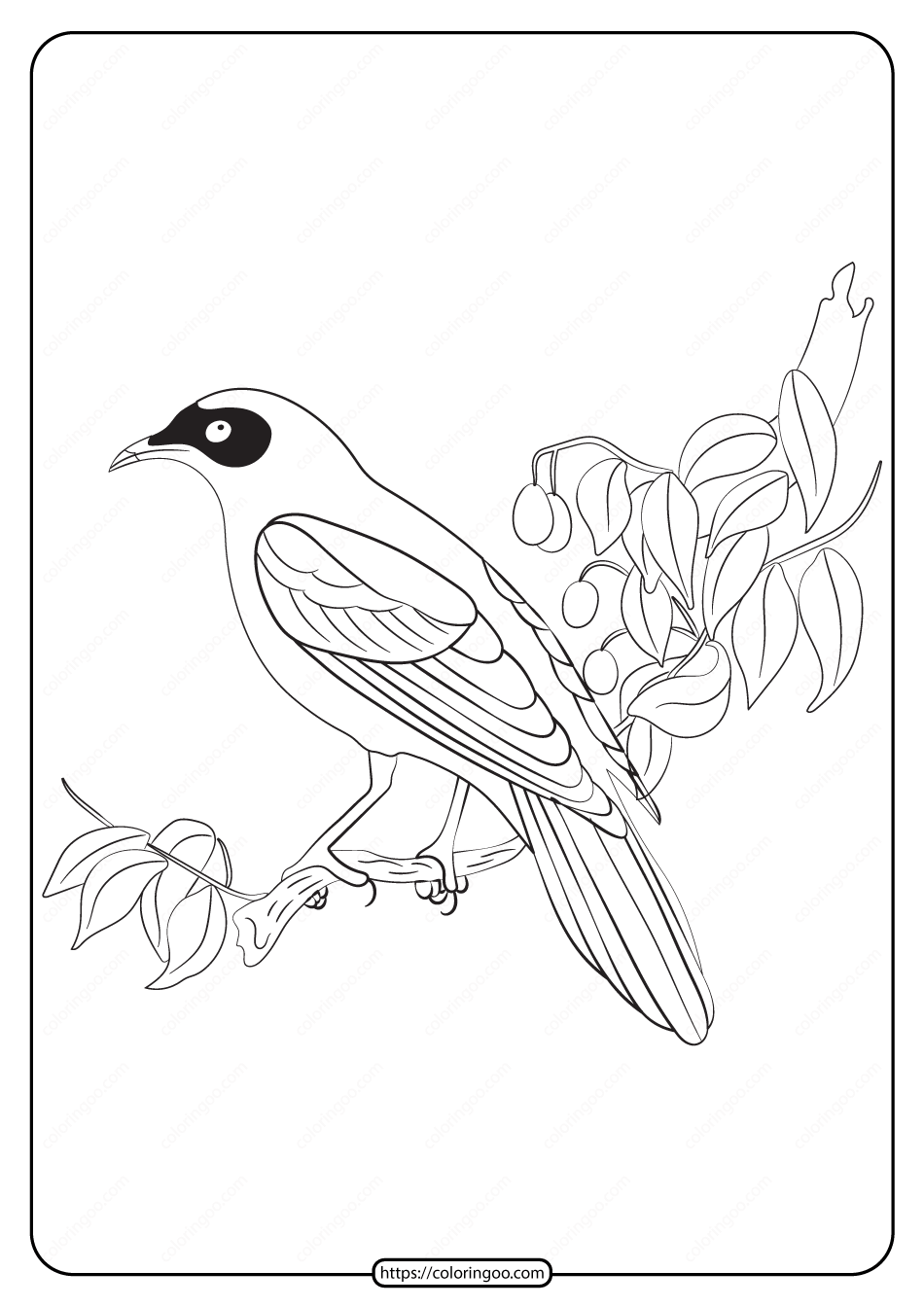 free printable animals bird pdf coloring pages 20