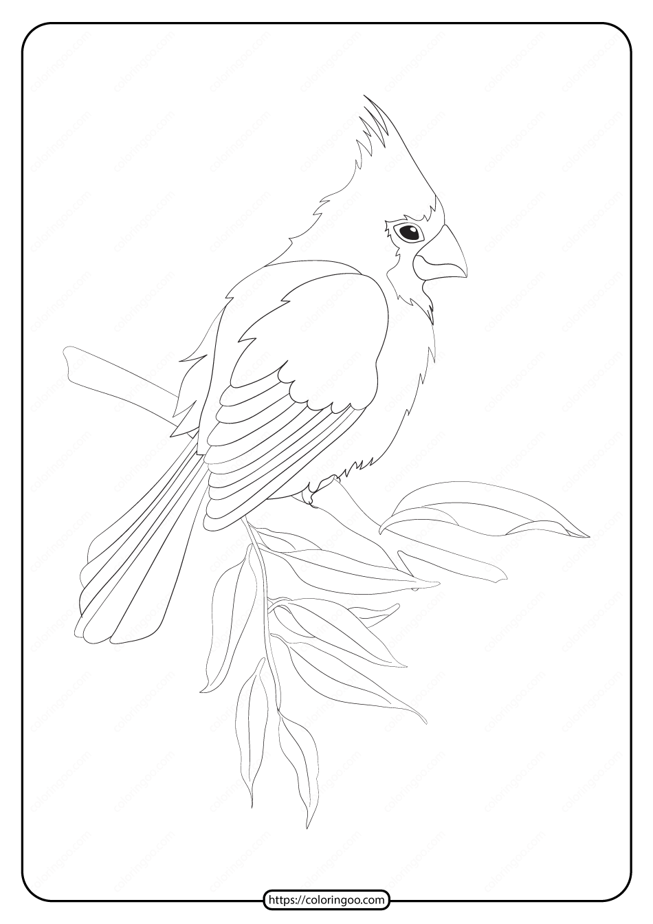 free printable animals bird pdf coloring pages 22