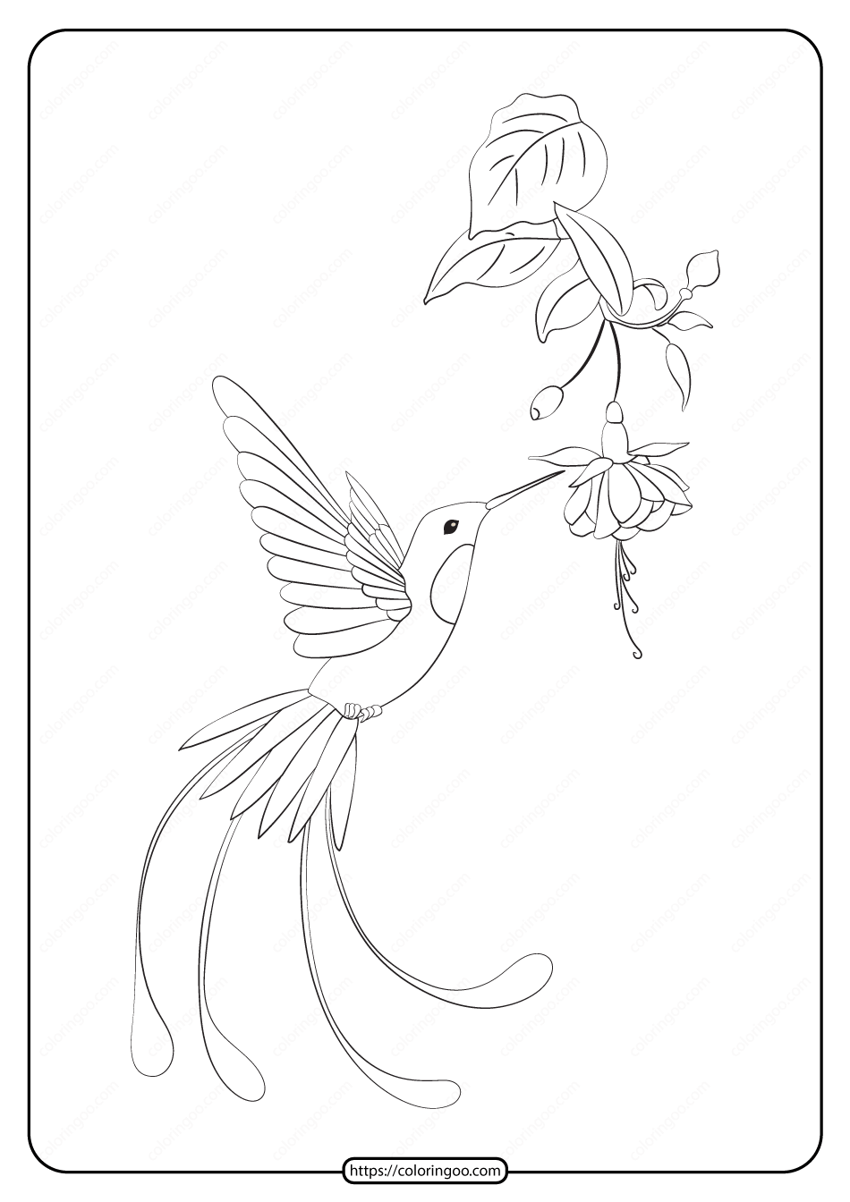 free printable animals bird pdf coloring pages 23
