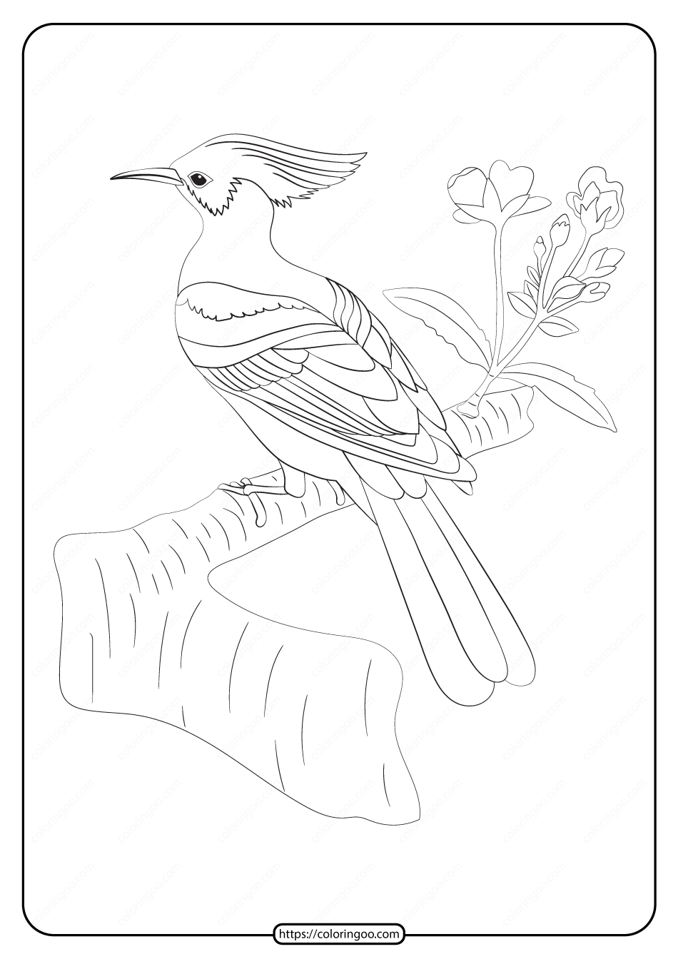 free printable animals bird pdf coloring pages 25