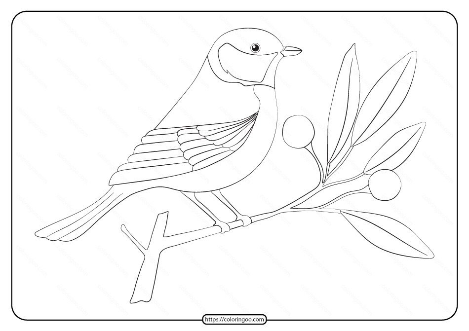 free printable animals bird pdf coloring pages 26