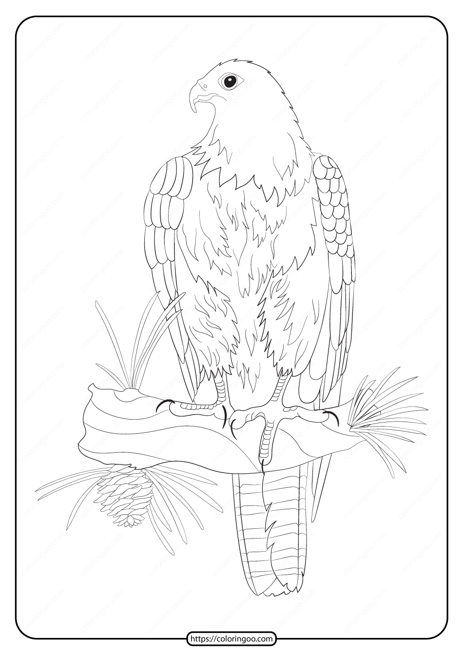 free printable animals eagle pdf coloring page