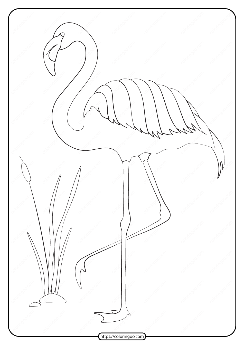free printable animals flamingo pdf coloring page