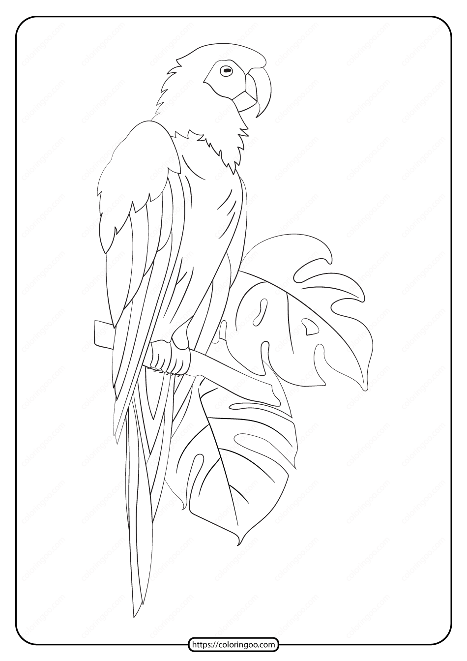 free printable animals parrot pdf coloring page