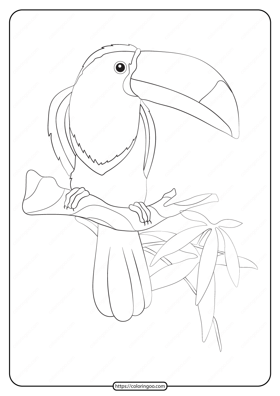 free printable animals toucan pdf coloring page