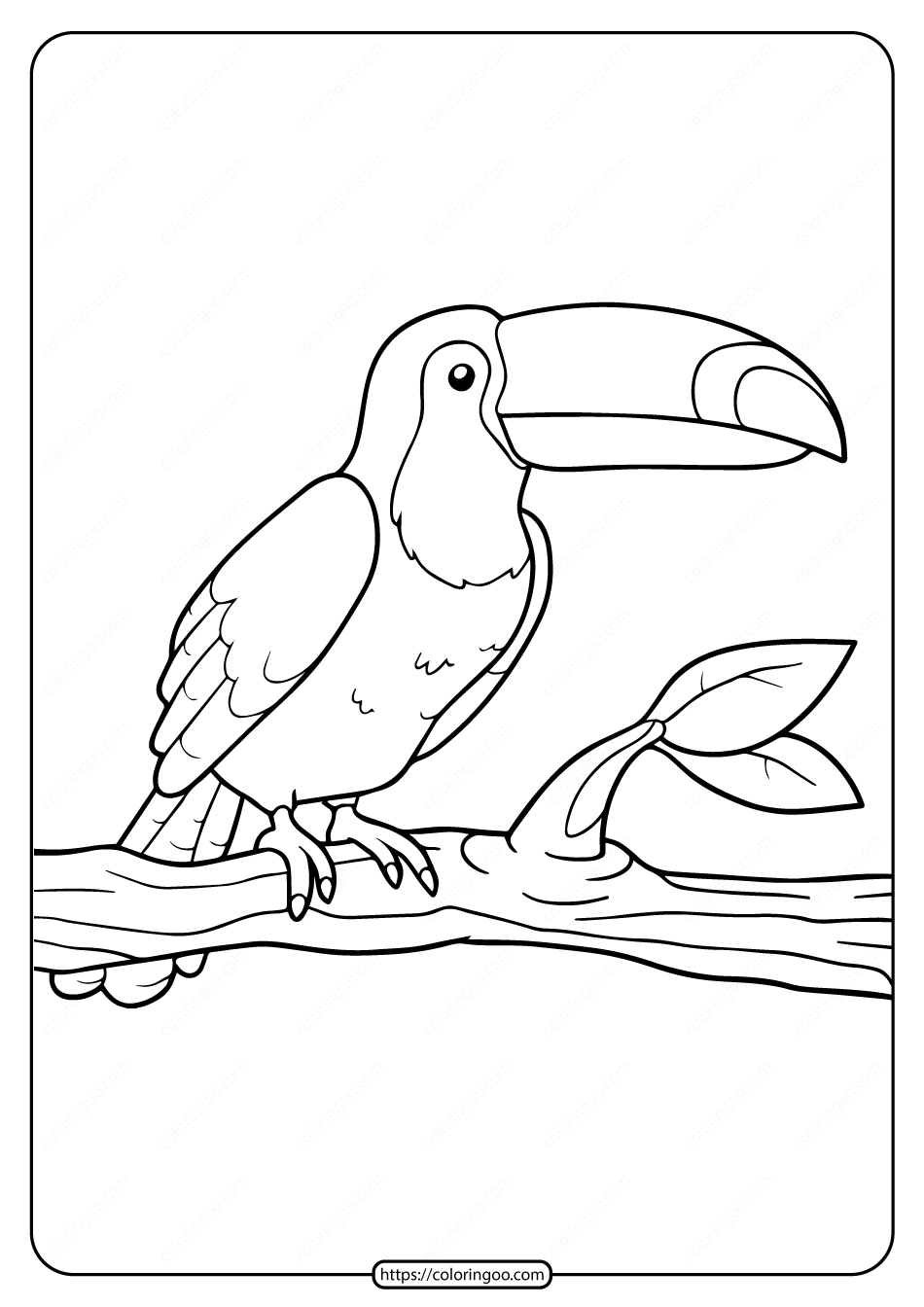 free printable animals toucan pdf coloring pages