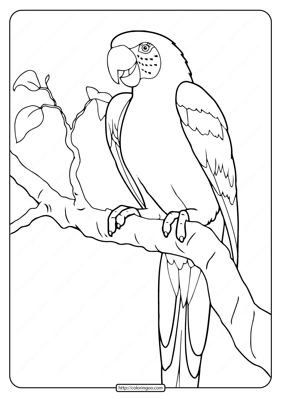 printables parrot coloring pages