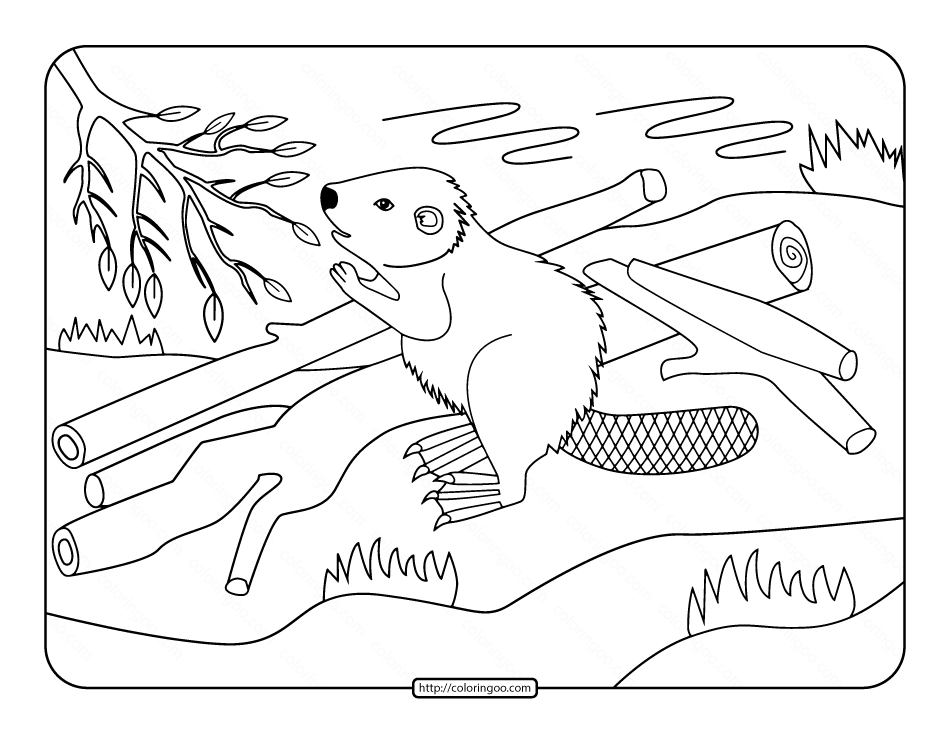 beaver coloring pages