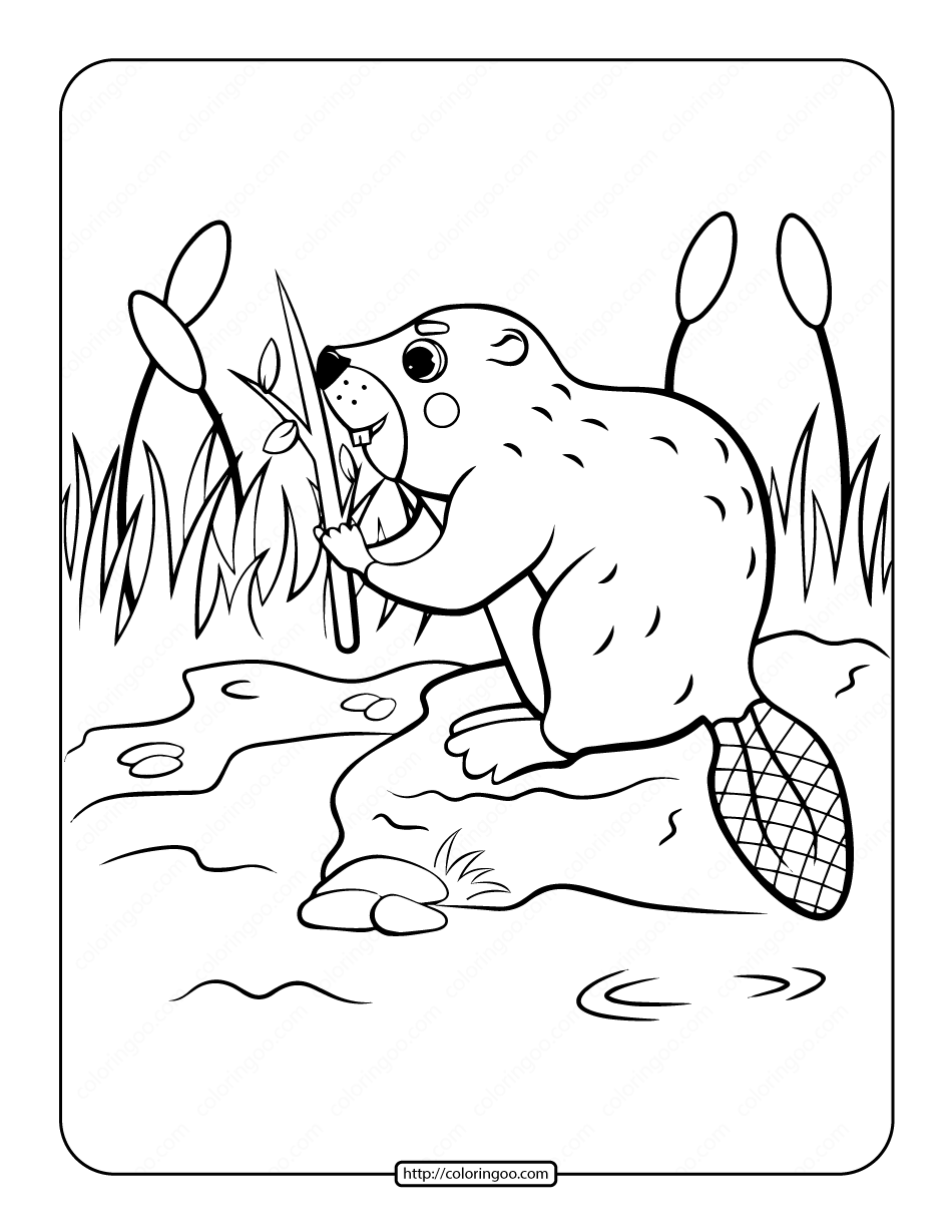 beaver in the riverside coloring page