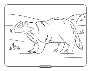 european badger coloring page
