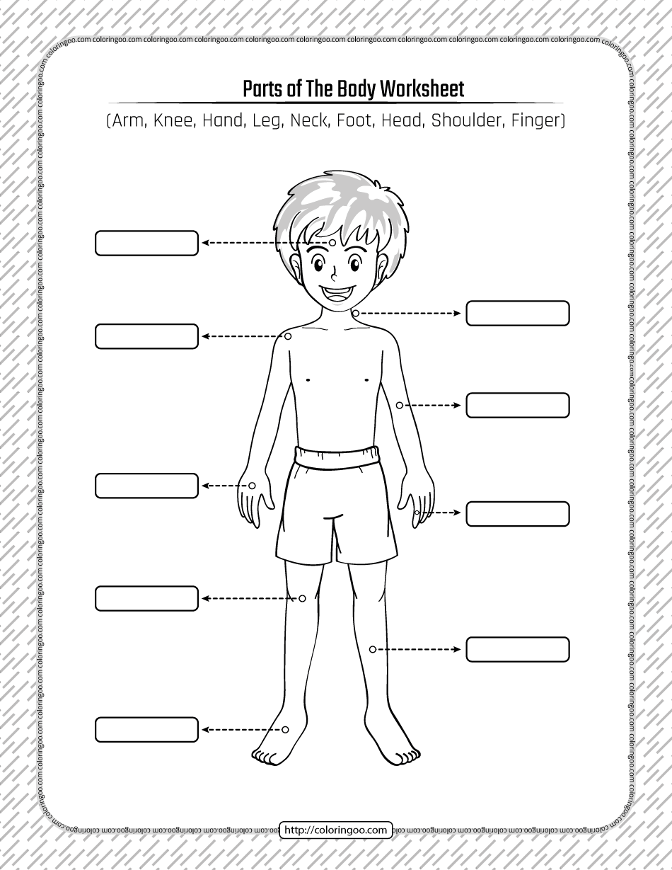 printable parts of the body pdf worksheet