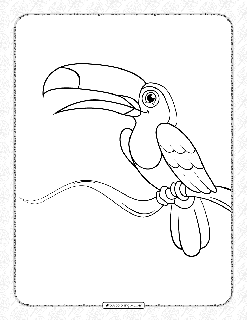 cute toucan coloring pages